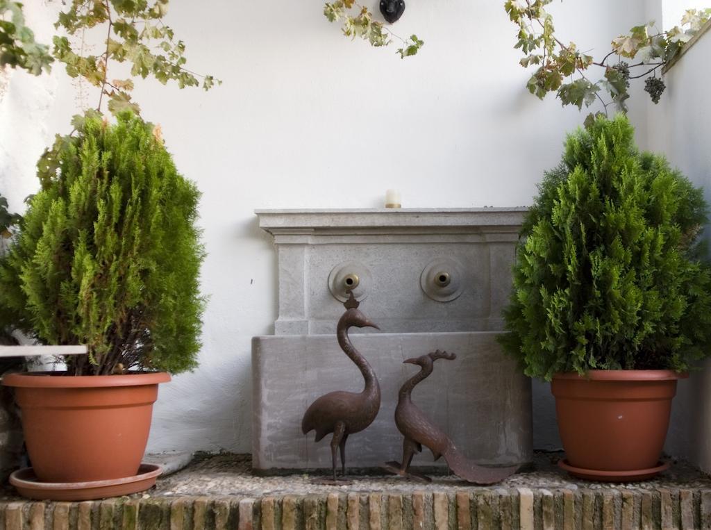 Carmen De Los Chapiteles Hotel Granada Exterior photo